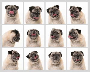 Expressions on a White Background