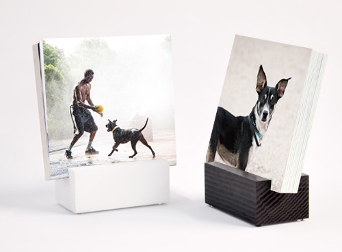 NYC Pet Photography Specialty Product